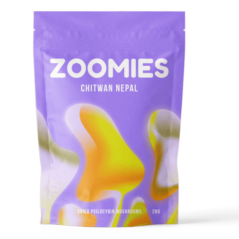 Chitwan Nepal Chitwan Nepal