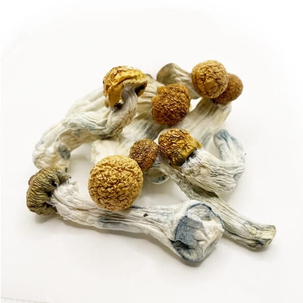 DC Mac DC Mac - Image 2