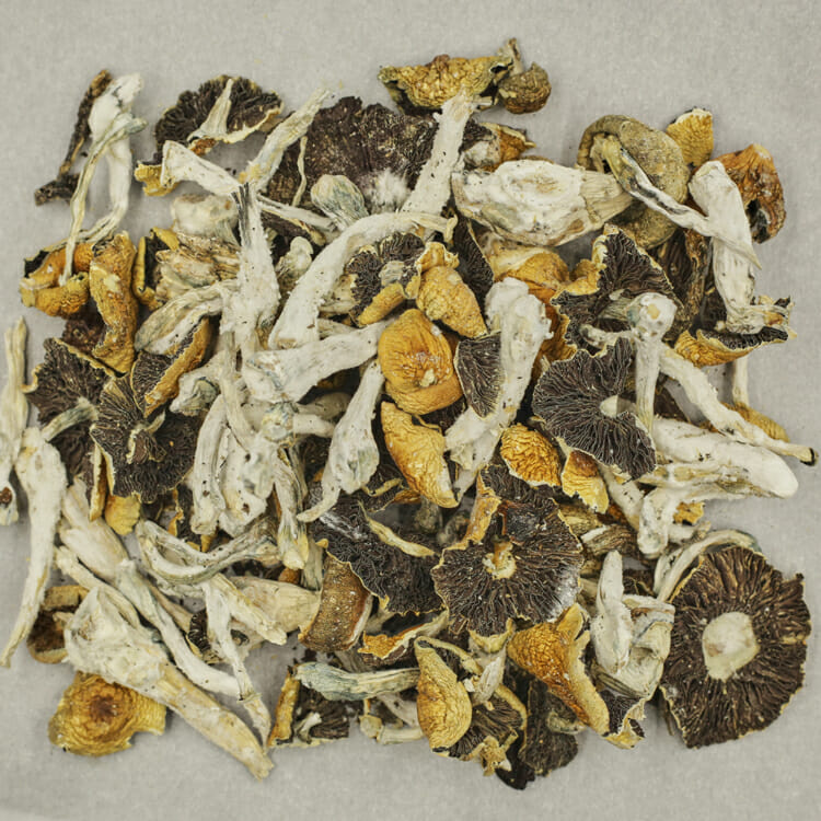 Alacabenzi Alacabenzi - Image 2