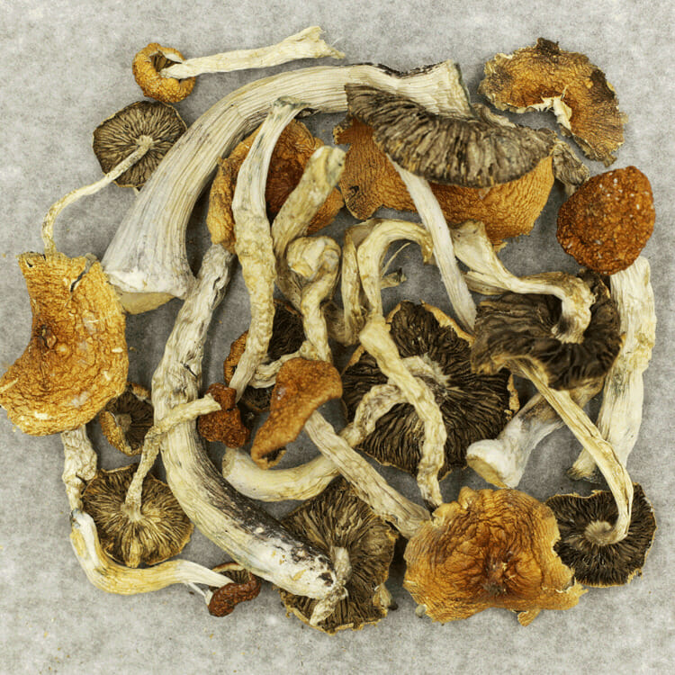 Big Daddy Big Daddy - Image 2