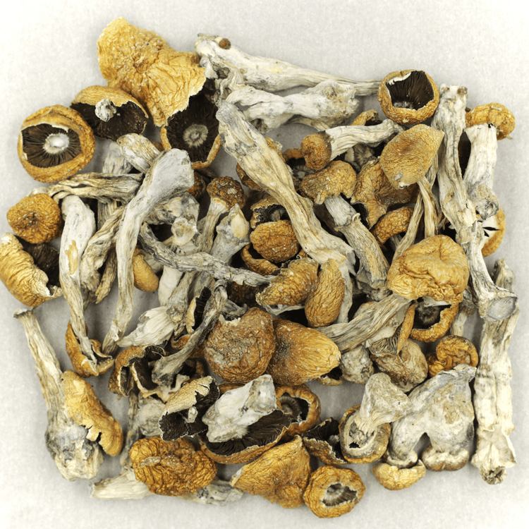 Orissa Orissa - Image 2