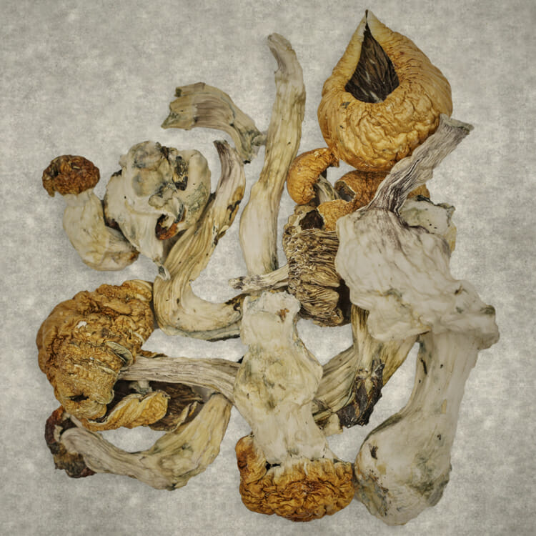 Z Farm Z Farm - Image 2