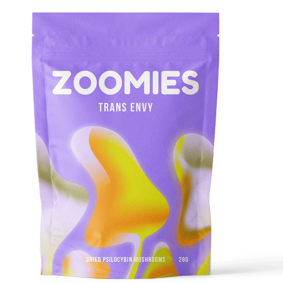 Trans Envy Trans Envy