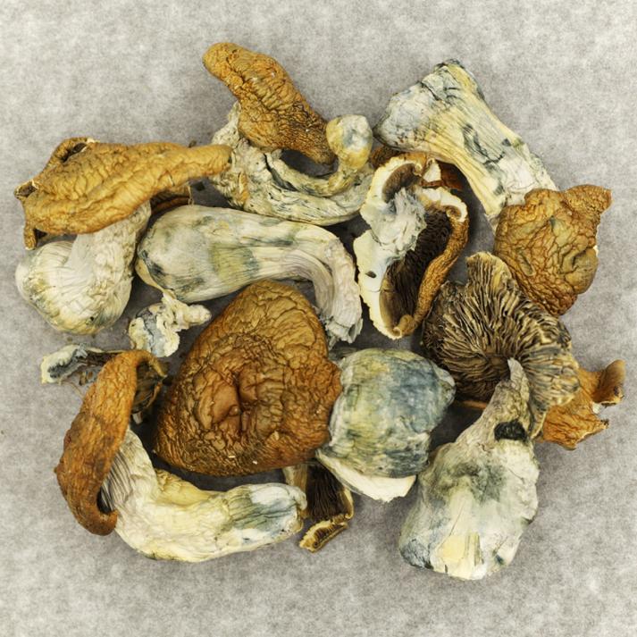 King Kong King Kong - Image 2